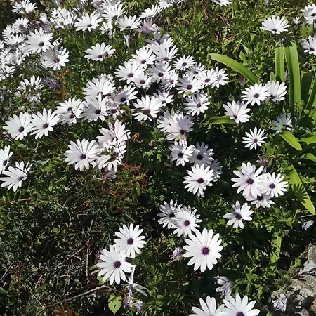 Dream House Casa vacanze *