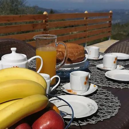 Tatil Evi Dream House Alimmatades