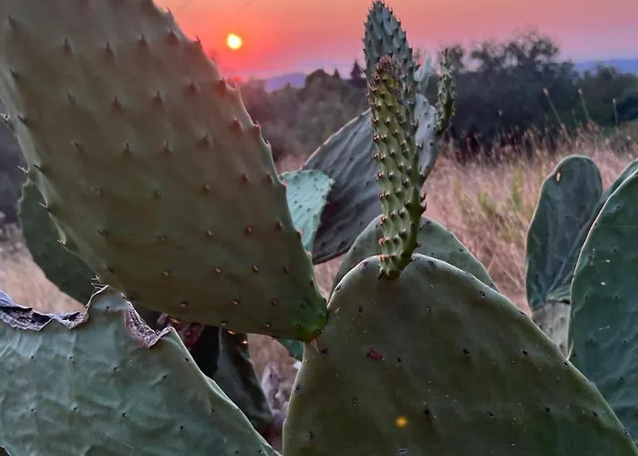 Dream House Ferienhaus *